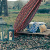 5/07 - Picnic a la fresca & The Lovebirds