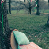 5/07 - Picnic a la fresca & The Lovebirds